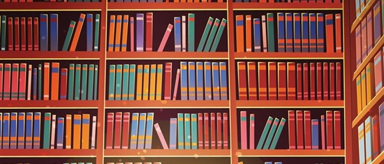 Uncovering Libraries’ Secrets: How to Engage with Public Libraries