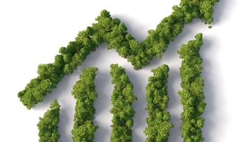 Sustaining the Future: Eco-Friendly Practices in Publishing