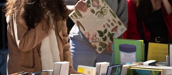 Why Might a Distributor Turn Down My Book?