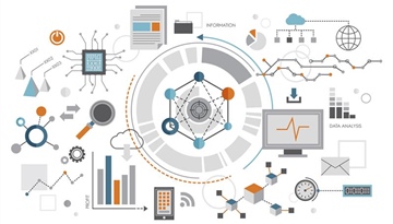 Turning Insight Into Impact